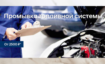 Промывка топливной системы от 2 500р.